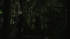 vlcsnap-2015-10-30-16h09m23s236.png