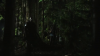 vlcsnap-2015-10-30-16h09m23s546.png