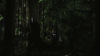 vlcsnap-2015-10-30-16h09m23s869.png