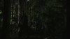 vlcsnap-2015-10-30-16h09m24s527.png