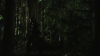 vlcsnap-2015-10-30-16h09m25s225.png