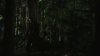 vlcsnap-2015-10-30-16h09m25s545.png