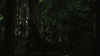 vlcsnap-2015-10-30-16h09m25s892.png