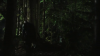 vlcsnap-2015-10-30-16h09m26s239.png