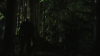 vlcsnap-2015-10-30-16h09m26s586.png