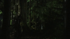vlcsnap-2015-10-30-16h09m29s445.png