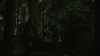 vlcsnap-2015-10-30-16h09m29s789.png