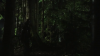 vlcsnap-2015-10-30-16h09m30s123.png