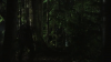vlcsnap-2015-10-30-16h09m30s468.png