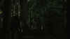 vlcsnap-2015-10-30-16h09m30s815.png
