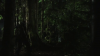 vlcsnap-2015-10-30-16h09m31s163.png