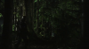 vlcsnap-2015-10-30-16h09m31s508.png
