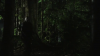 vlcsnap-2015-10-30-16h09m31s860.png
