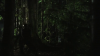 vlcsnap-2015-10-30-16h09m32s203.png