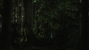 vlcsnap-2015-10-30-16h09m32s560.png