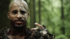 vlcsnap-2015-10-30-16h11m33s550.png