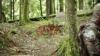 vlcsnap-2015-10-30-16h11m40s927.png