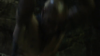 vlcsnap-2015-10-30-16h12m13s181.png