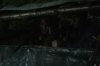 vlcsnap-2015-11-01-23h11m29s296.png