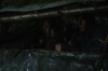 vlcsnap-2015-11-01-23h11m29s807.png