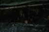 vlcsnap-2015-11-01-23h11m30s291.png