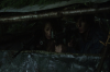 vlcsnap-2015-11-01-23h11m30s800.png