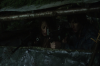 vlcsnap-2015-11-01-23h11m31s377.png