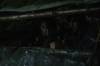 vlcsnap-2015-11-01-23h11m32s530.png