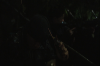 vlcsnap-2015-11-01-23h11m33s025.png