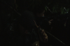 vlcsnap-2015-11-01-23h11m33s506.png