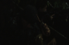 vlcsnap-2015-11-01-23h11m34s001.png