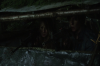 vlcsnap-2015-11-01-23h11m54s415.png