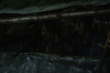 vlcsnap-2015-11-01-23h11m54s969.png