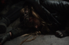 vlcsnap-2015-11-01-23h12m44s233.png
