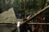 vlcsnap-2015-11-02-01h00m46s917.png