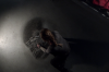 vlcsnap-2015-11-02-01h01m13s509.png