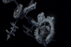 vlcsnap-2015-11-02-01h01m54s370.png