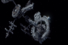 vlcsnap-2015-11-02-01h01m54s646.png