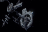 vlcsnap-2015-11-02-01h01m54s924.png