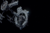 vlcsnap-2015-11-02-01h01m55s463.png