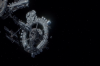 vlcsnap-2015-11-02-01h01m55s723.png