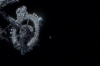 vlcsnap-2015-11-02-01h01m55s956.png