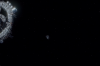 vlcsnap-2015-11-02-01h01m56s471.png