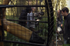 vlcsnap-2015-11-02-01h02m08s459.png