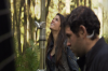 vlcsnap-2015-11-02-01h02m09s337.png