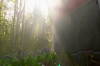 vlcsnap-2015-11-02-01h02m19s155.png