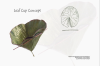 vlcsnap-2015-11-02-01h02m24s843.png