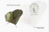 vlcsnap-2015-11-02-01h02m25s176.png
