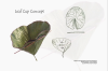 vlcsnap-2015-11-02-01h02m25s492.png