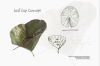 vlcsnap-2015-11-02-01h02m25s831.png